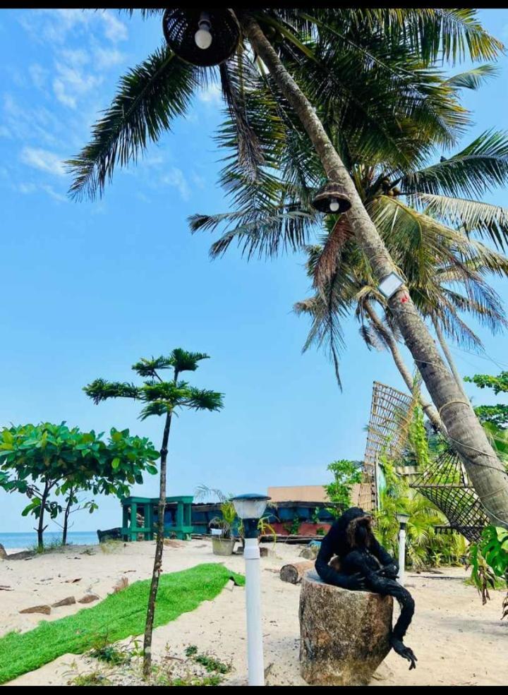 Alivious Beach Homestay Alappuzha Exterior photo